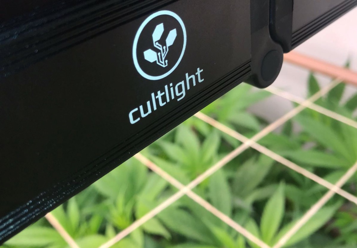 CultLight Quantum Bar