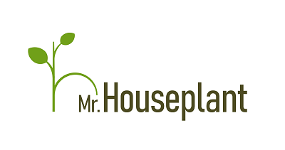 Mr. Houseplant