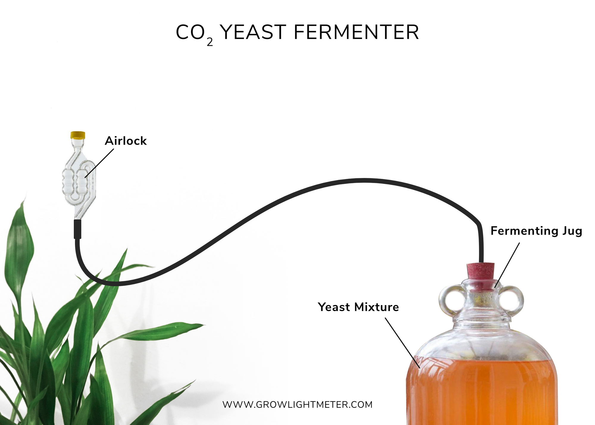 Increasing Cannabis Growth With CO2