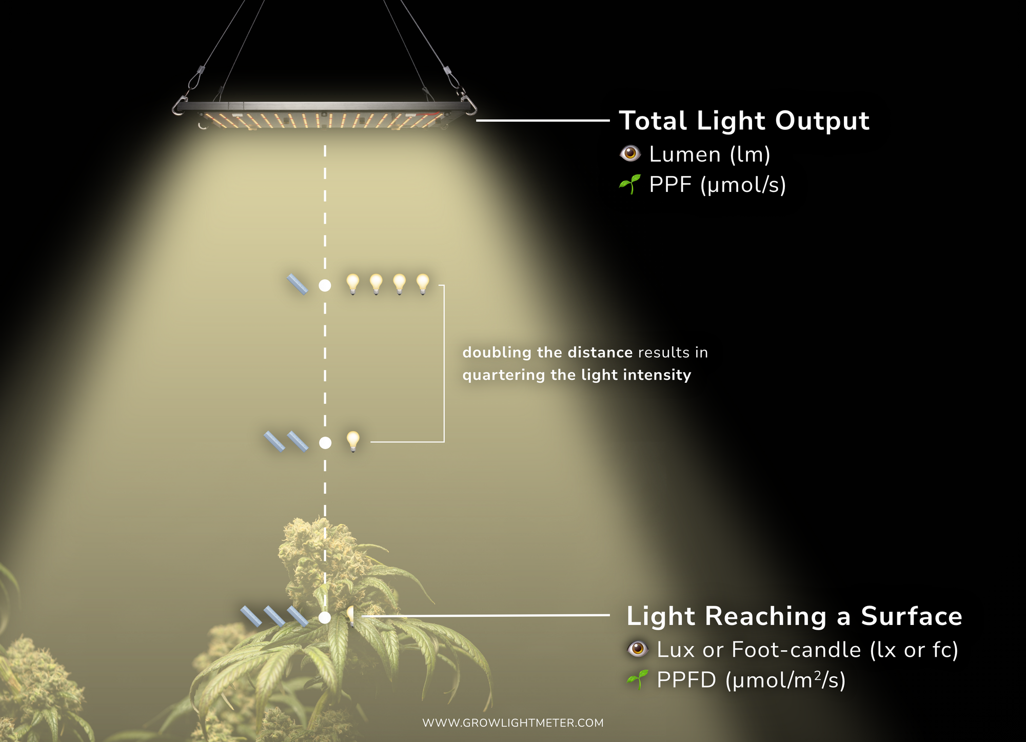 Grow Light Metrics: What It All Means