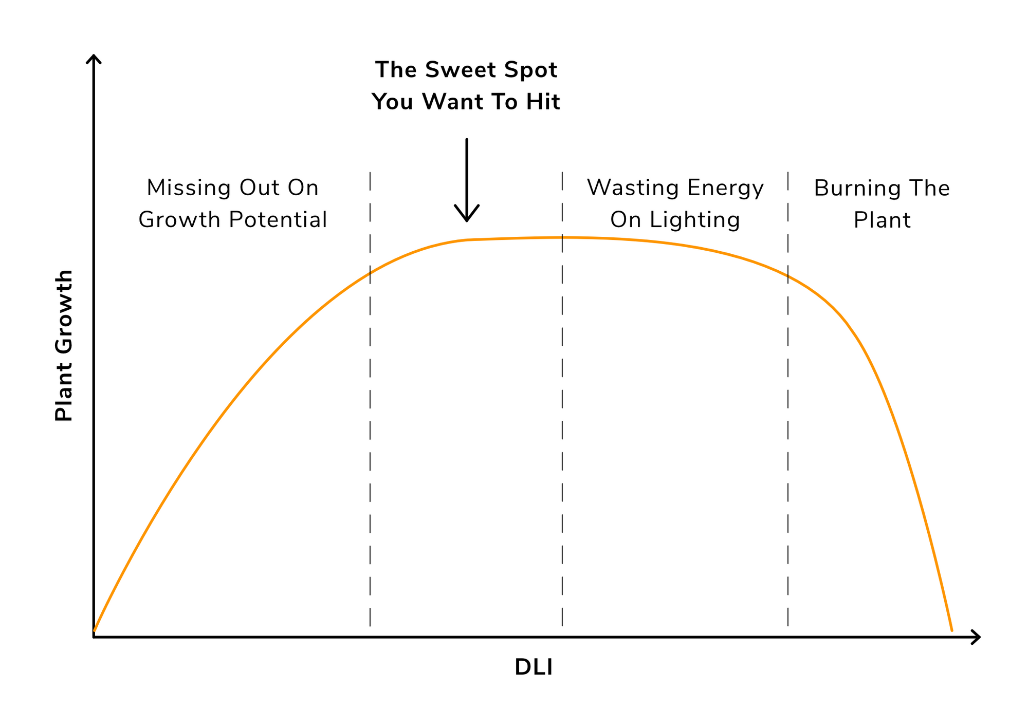 The Daily Light Integral of