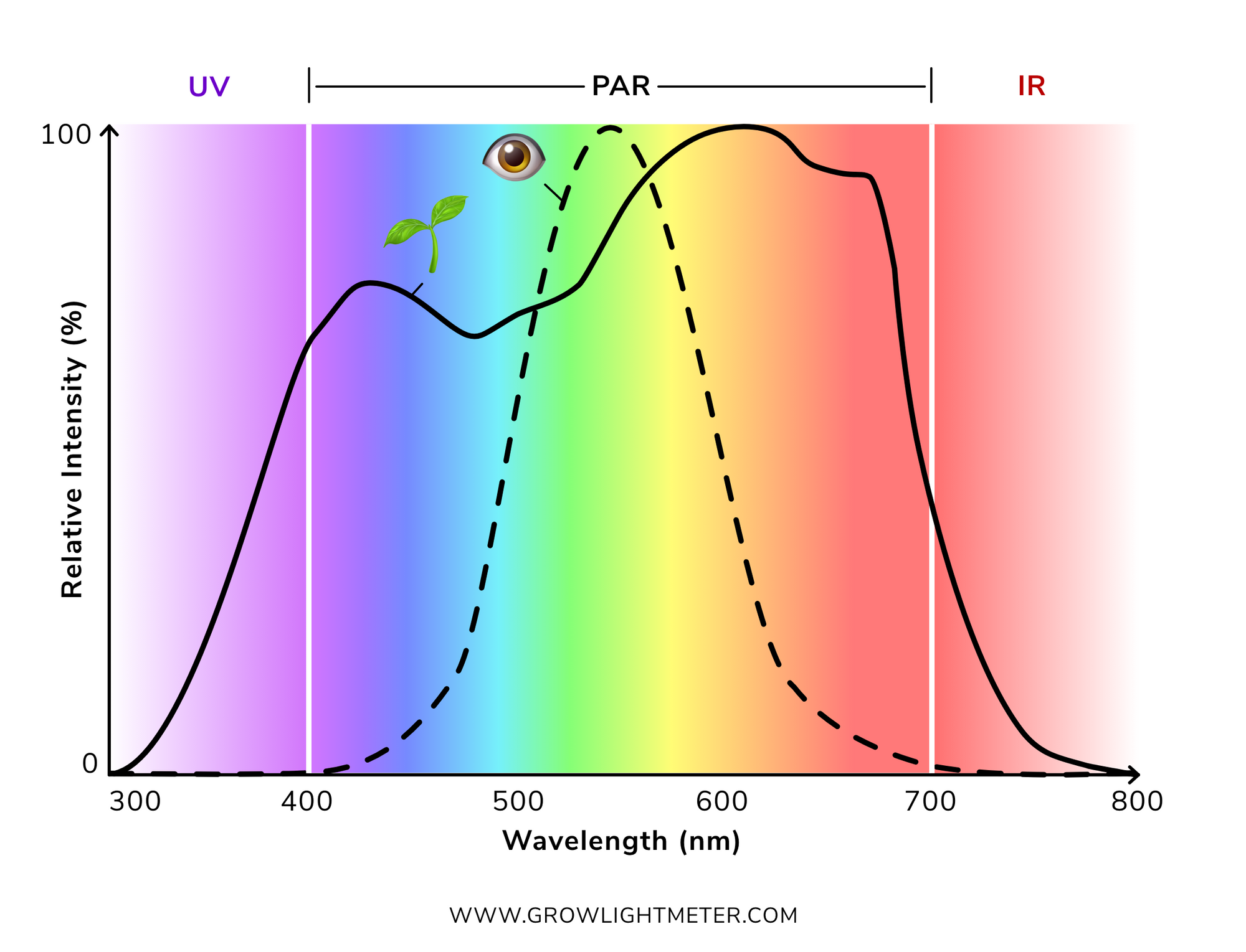 ppfd in lumen