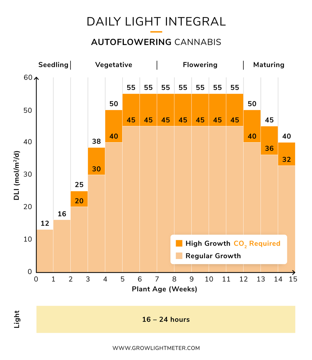 Cannabis DLI for Your Full Grow Cycle