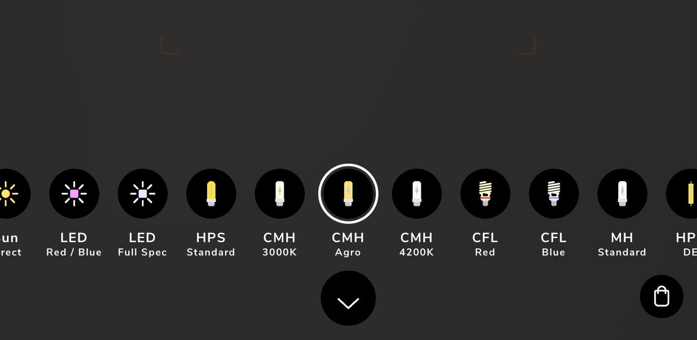 Which Light Source to Choose