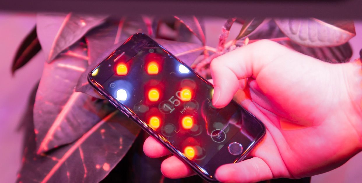 Erziele optimale Beleuchtung mit Photone