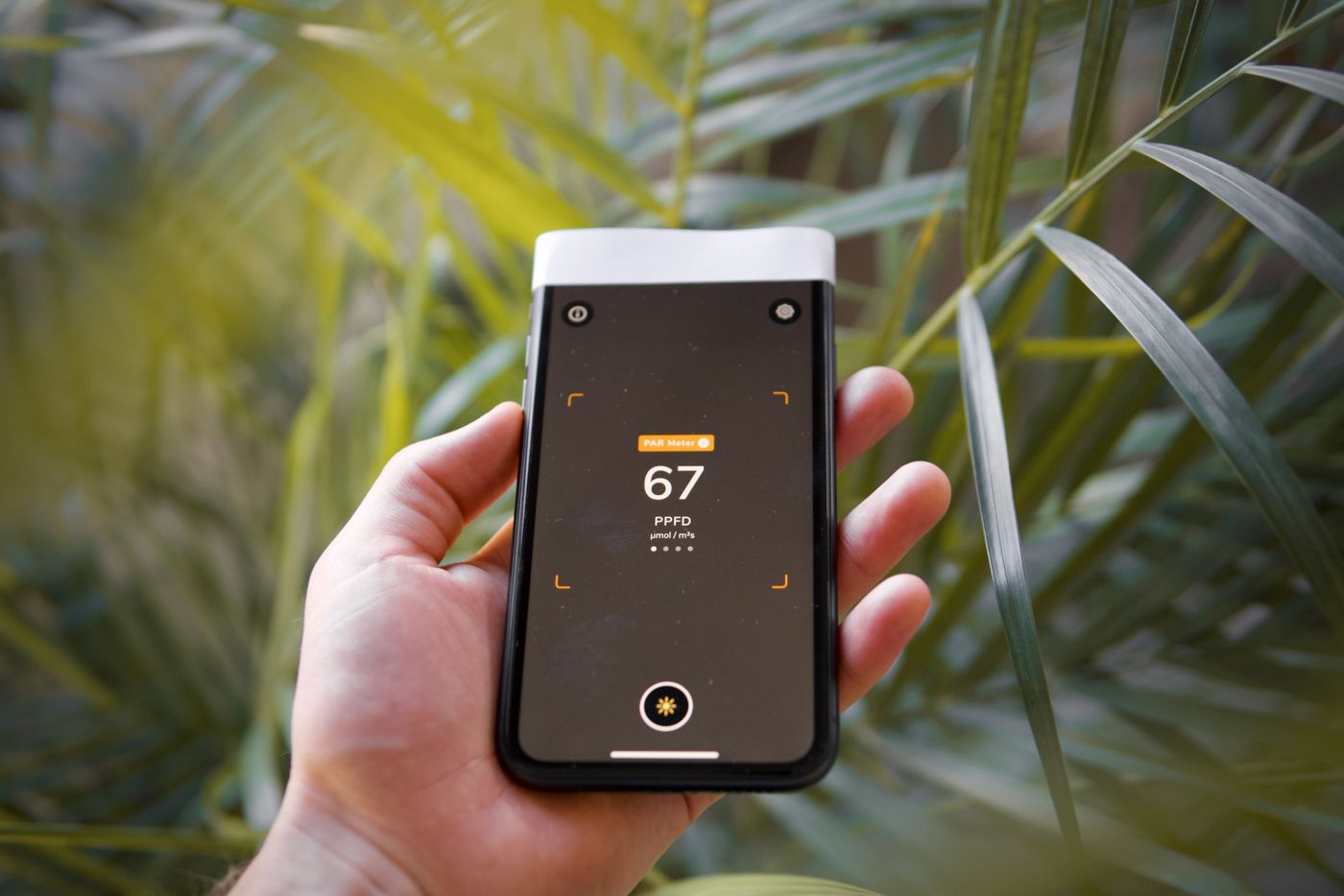 Best Light Meter App For Plants 2022