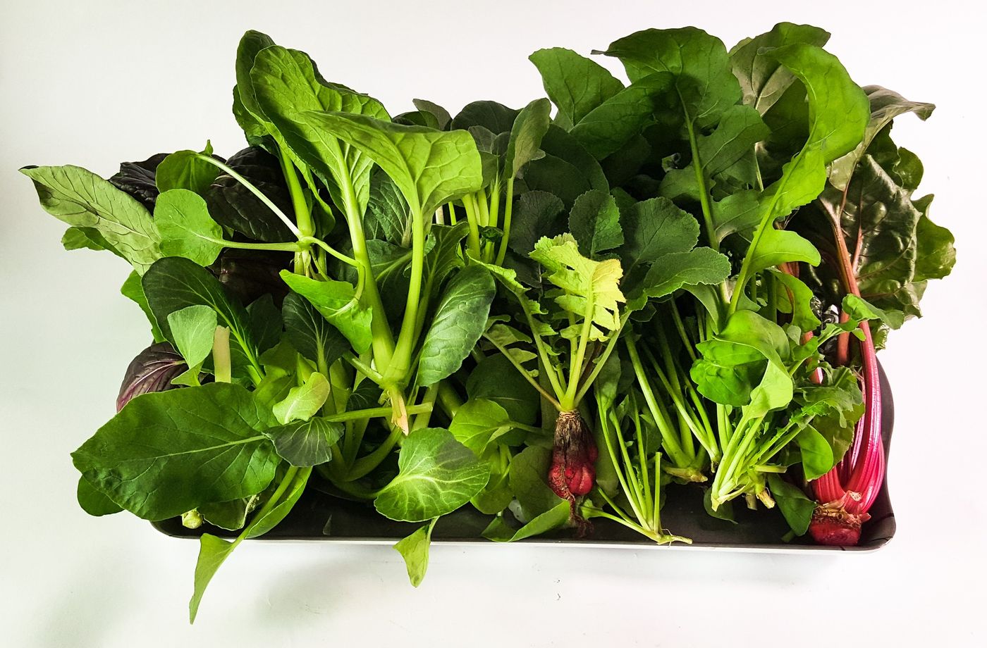 Grow Your Own Food With an Hydroponic Garden