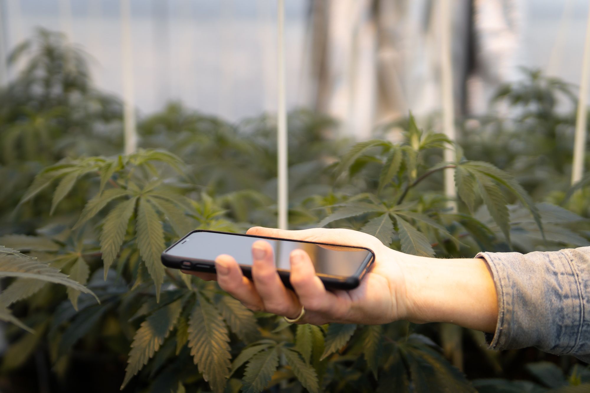 Photone Grow Light Meter