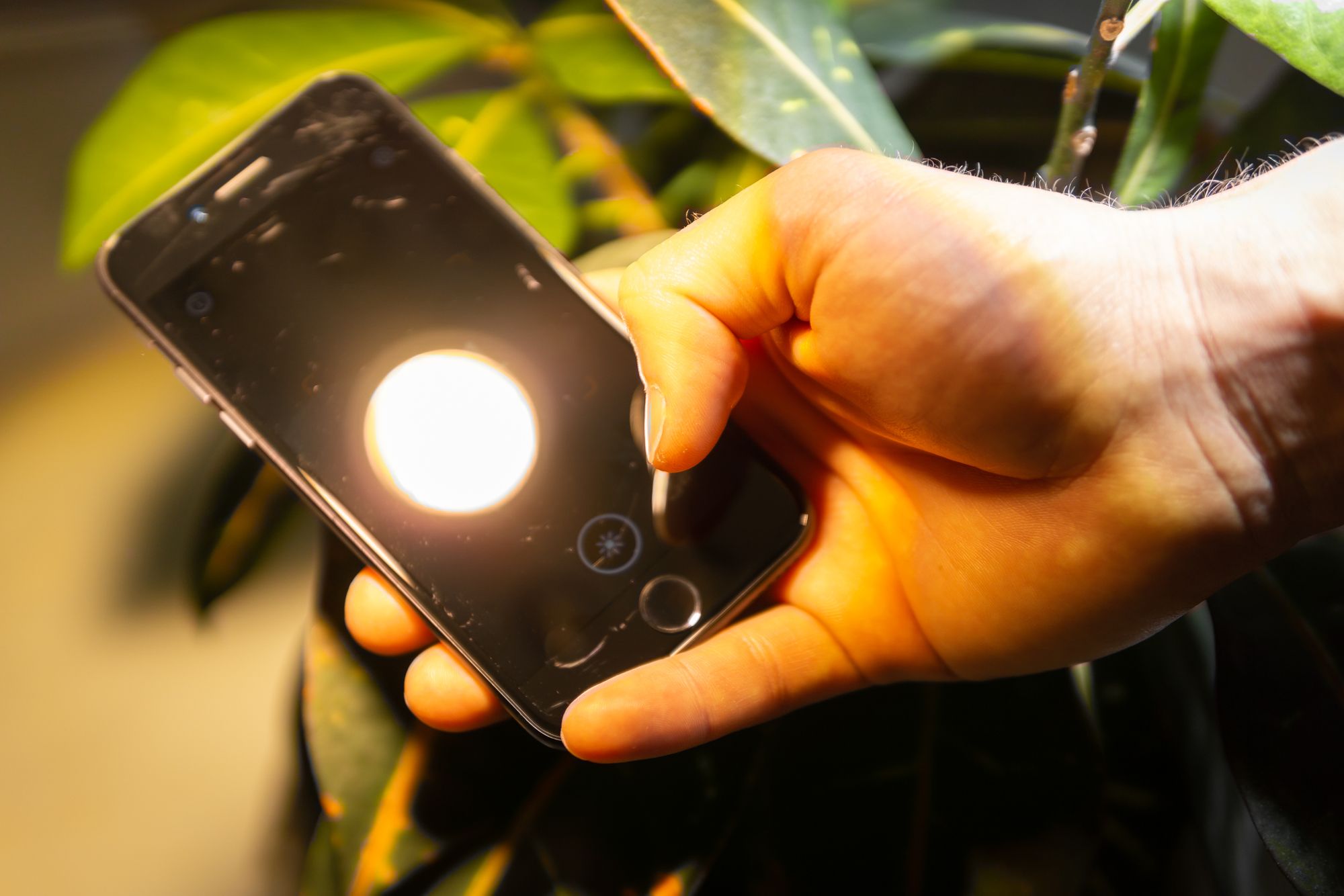 Photone Grow Light Meter