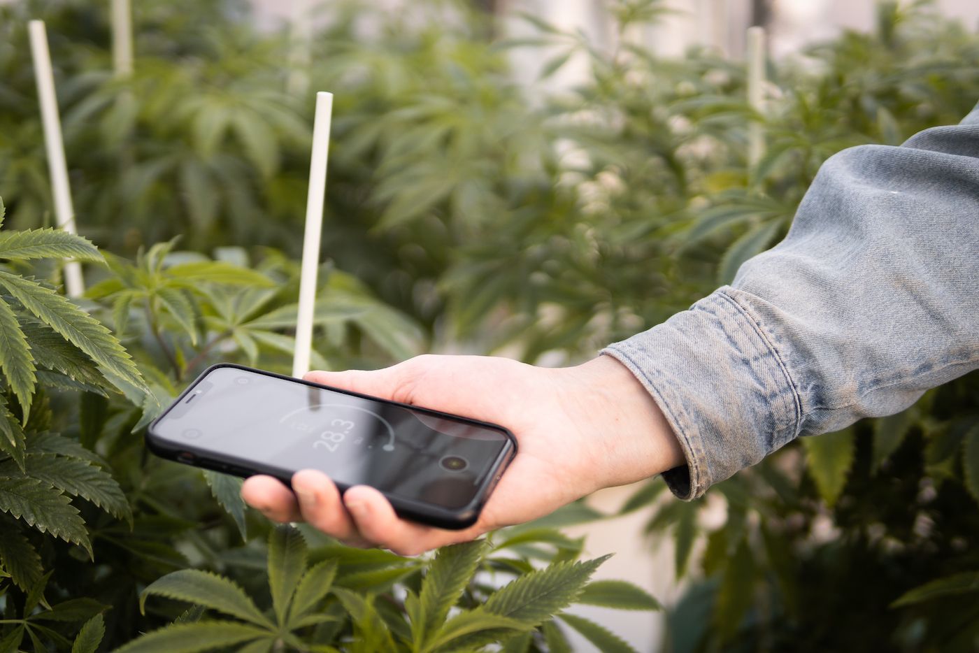 Photone Grow Light Meter