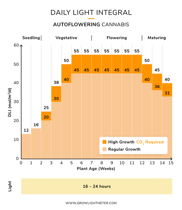 Cannabis Lighting PAR / PPFD And DLI For Autoflowers
